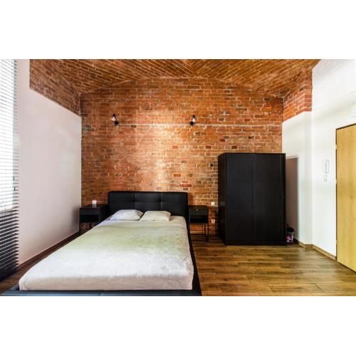 Loft 6 w centrum miasta