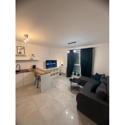 LOFT APARTAMENT I Kępno