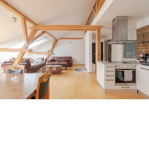 Loft apartament Maiselova