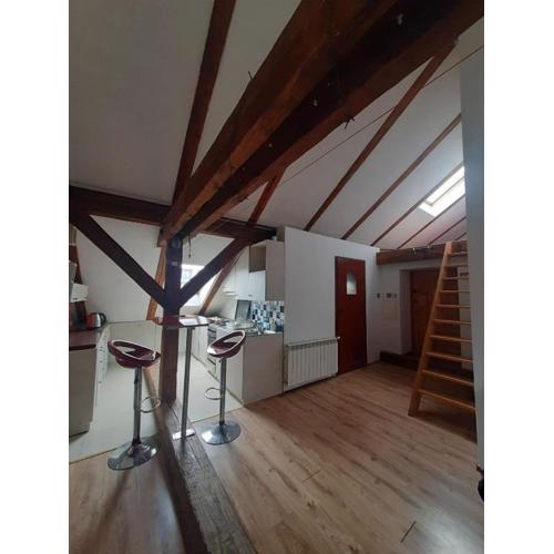 Loft przy Starym Mieście