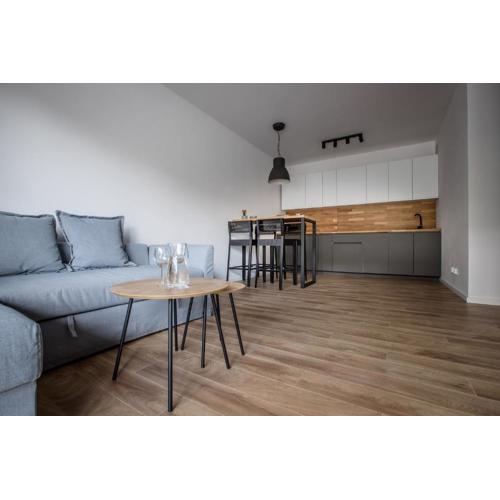 Longinus Apartament