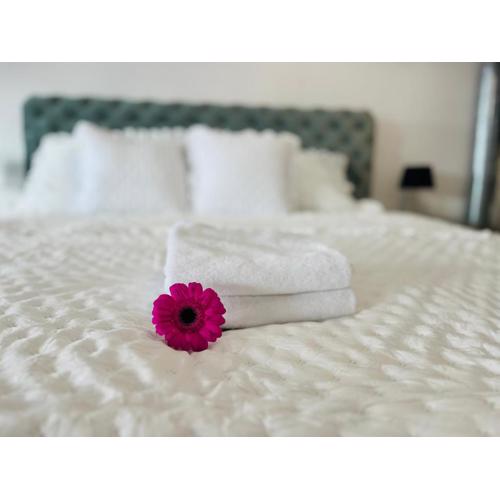 Loveloft226