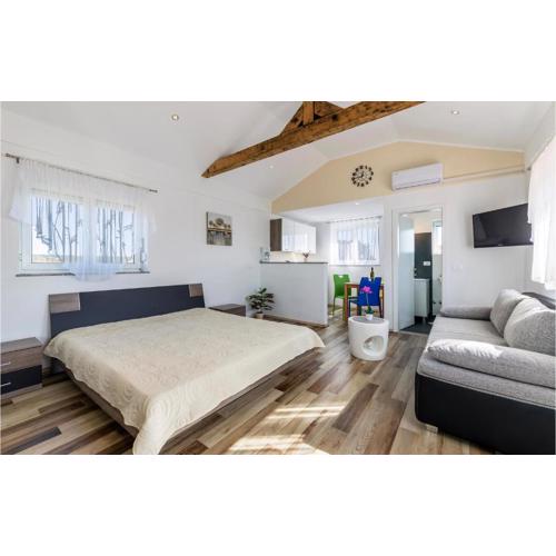 Lovely Apartment In Valbandon With Wifi