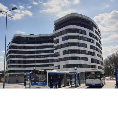 Lovely Apartment near Wawel