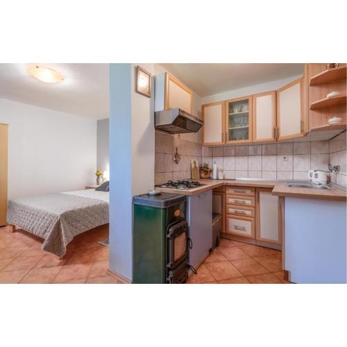 Lovely Home In Valbandon With Kitchen