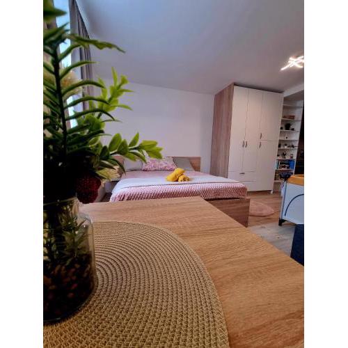 Lovely Studio at the City Heart