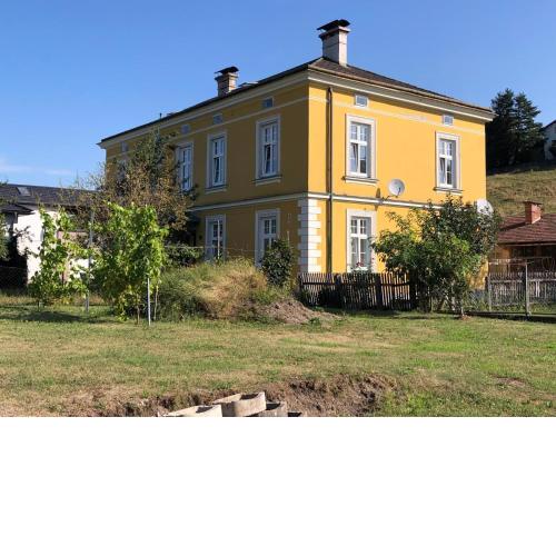 Löwenzahn2