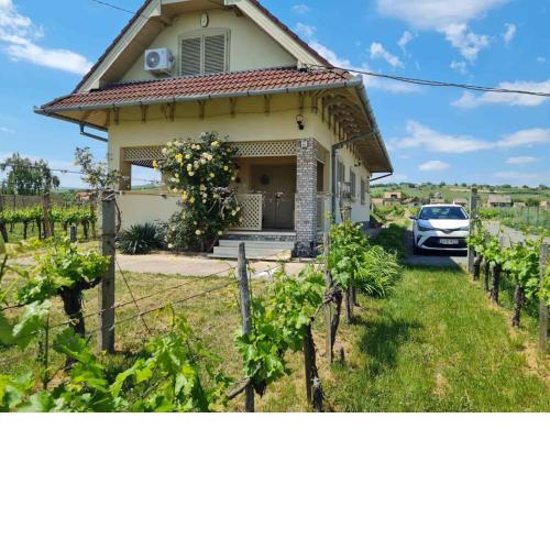 Lugas Apartman