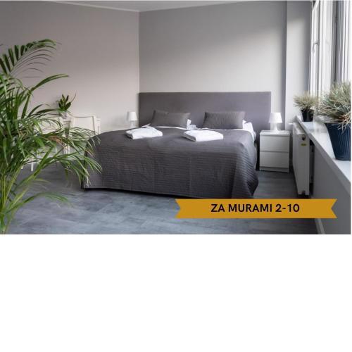 Lunette Apartments