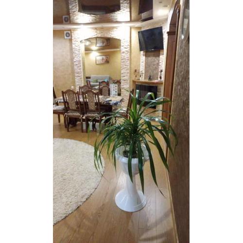 Lux apartment City Center