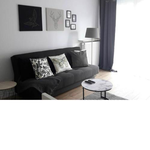 Lux Apartment close to Medicover and Paley