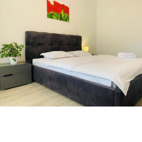 Lux appartment, Kiev, Comfort town