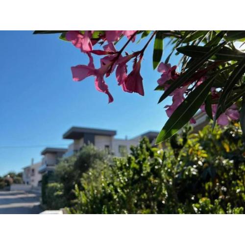 LuxArt City Spa Gallery Residence Krk- Duplex Apartment