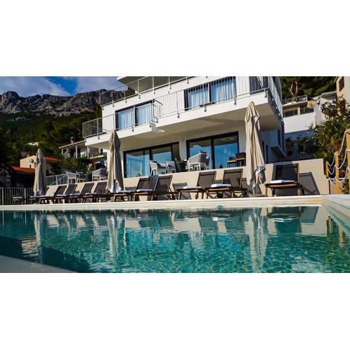 Luxurious and spacious pet friendly villa in Brela