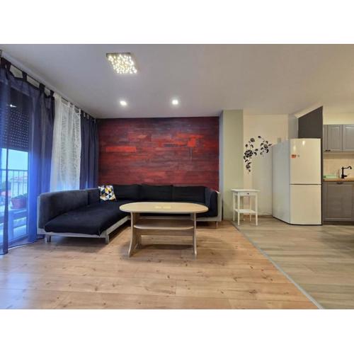 Luxury apartment Central