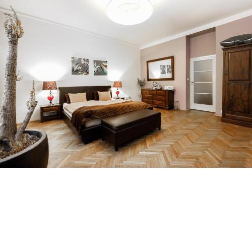 LUXURY Apartment Dlouha