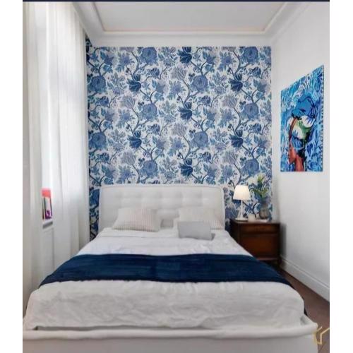 Luxury apartment in center town!