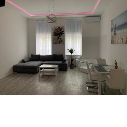 Luxury apartment in the central