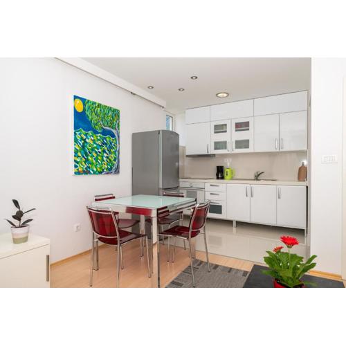 Luxury apartment Silvana in the city center