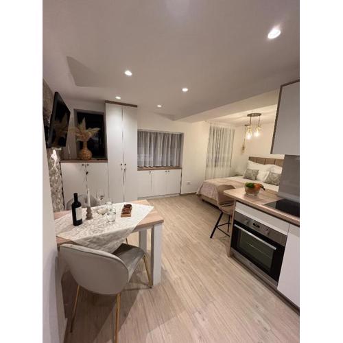 Luxury apartment Skalina & Volat