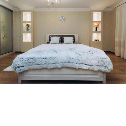 Luxury Apartment