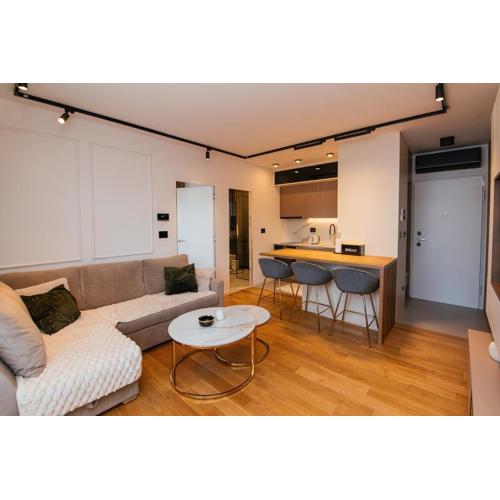 Luxury Apartment