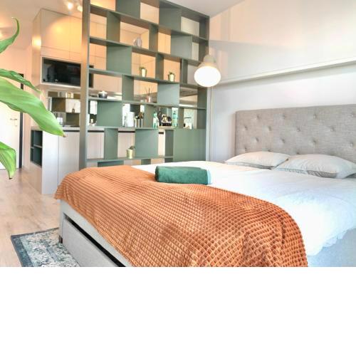 Luxury, bright Studio with parking and balcony in Bratislava center