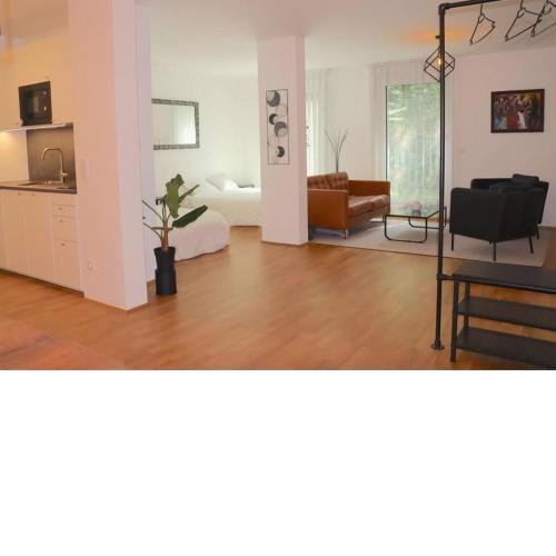 Luxury Design Apartment
