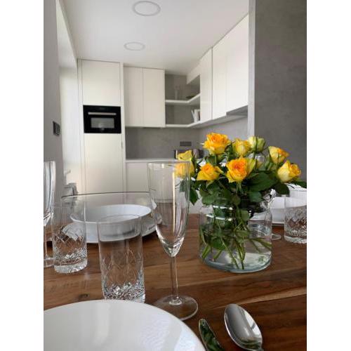 Luxury Flat in Brno