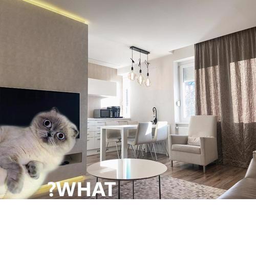 Luxury Lifestyle apartment in Bratislava