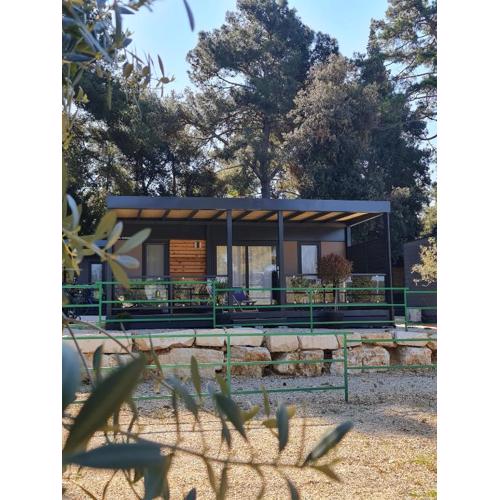 LUXURY MOBILE HOMES IVACI