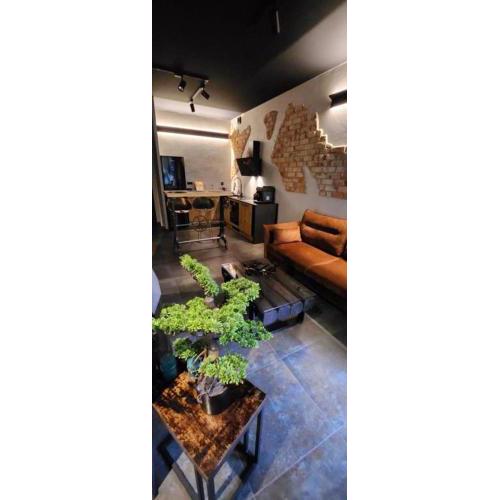 Luxury Old Town Apartments , gym, hammock free parking!