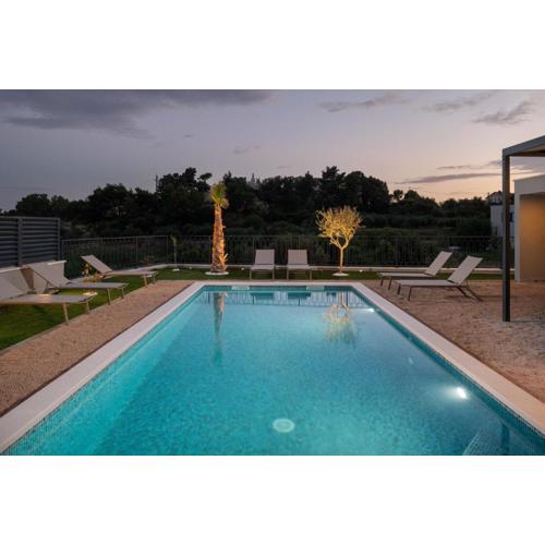Luxury Villa David\
