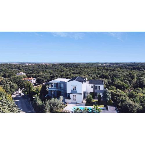 Luxury villa with a swimming pool Pjescana Uvala, Pula - 21972