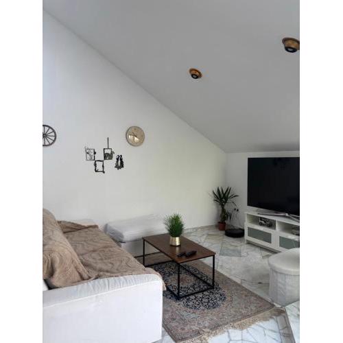 Luxus aprtment Grillparzerstraße 5