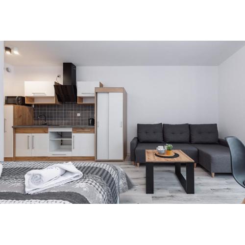Łużycka Cosy Studio by Noclegi Renters