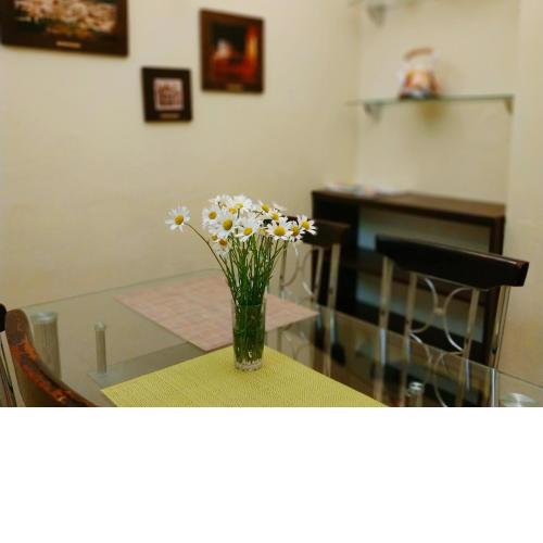 Lviv City Apartment