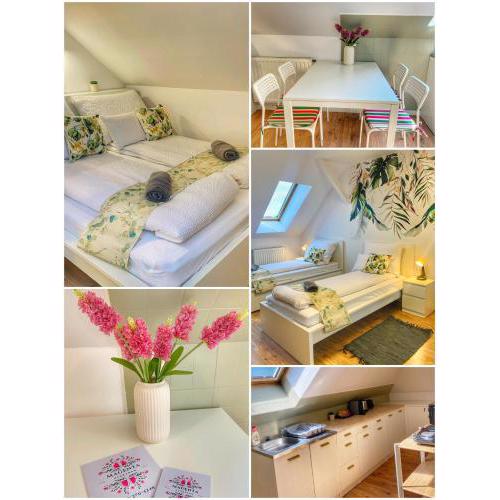 Magenta Apartman