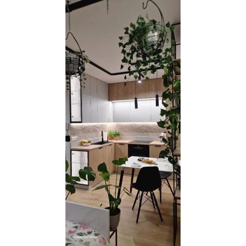 Magic House Apartament Proszowska 58 II