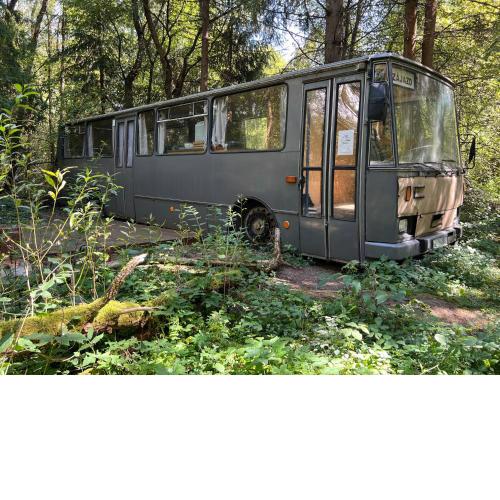 Magicbus