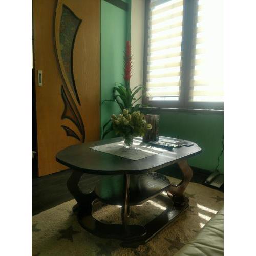 Magnificent apartment in Central Lviv