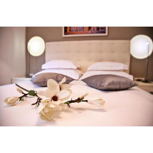 Magnolia Luxury Apartments