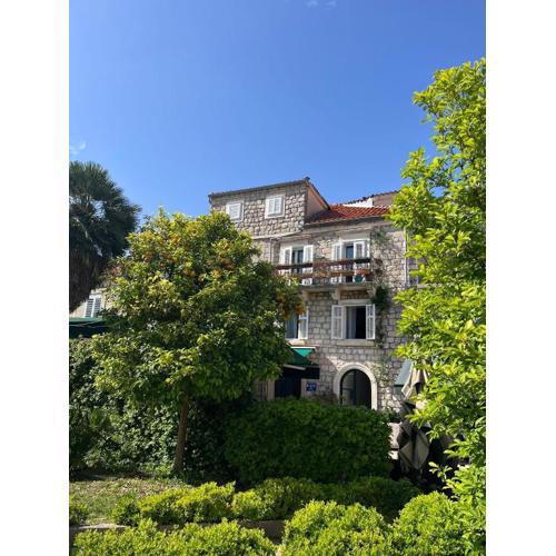 Main Street Apartment