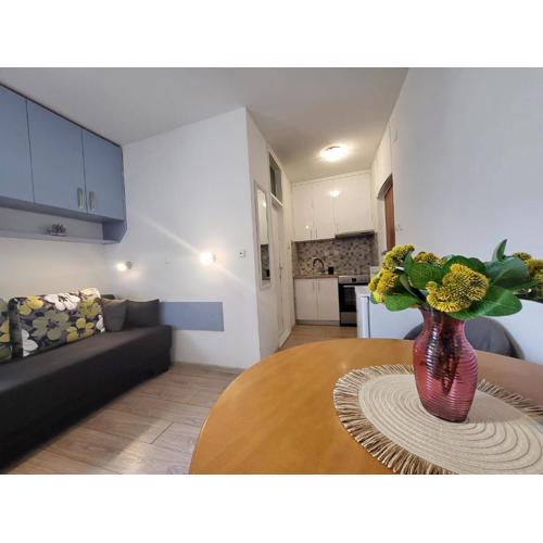 Mali apartman u centru