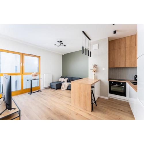 Malila Premium Apartments Cracow Rakowicka 437