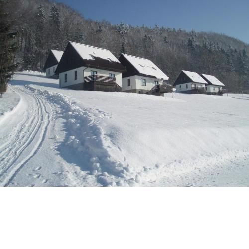 Mansion in Starkov with shared pool