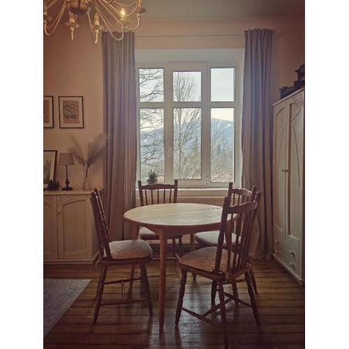 Marcówka M4 - duży apartament w historycznej willi z ogrodem