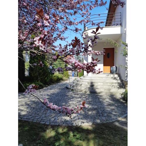 Marel- Apartamenty w Parku- Rydz Polanica Zdrój