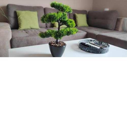 Marianna Apartman Kaposvár