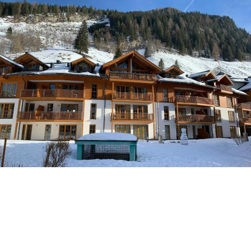 Martina 1 by SMR Rauris Apartments - inc Spa and near Gondola